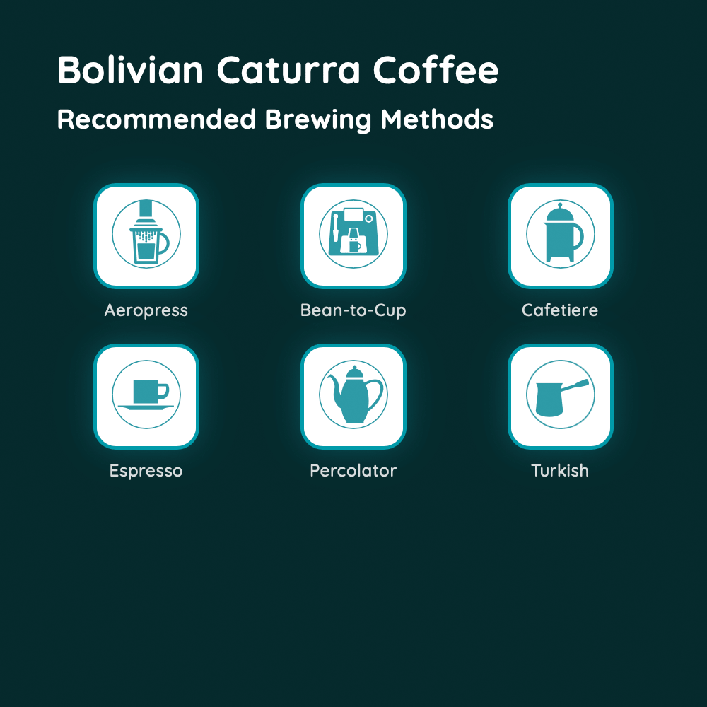 Bolivian Caturra Coffee