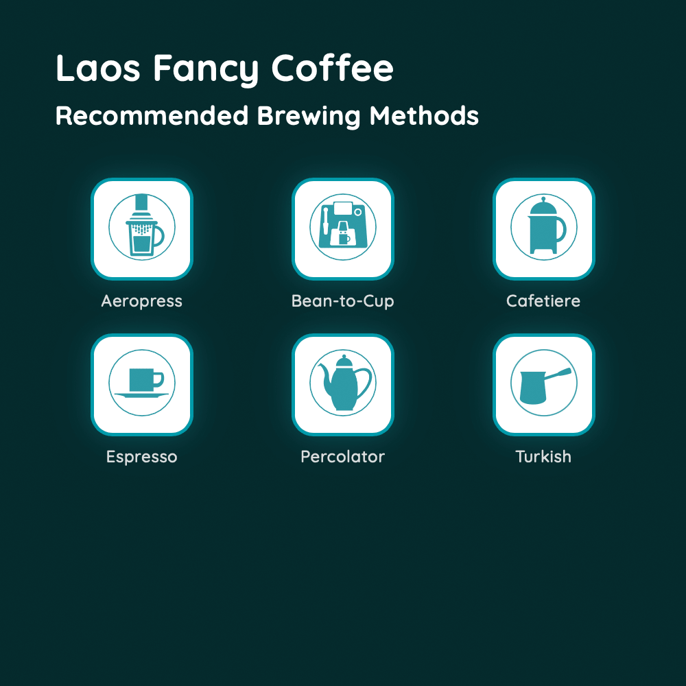 Laos Fancy Coffee
