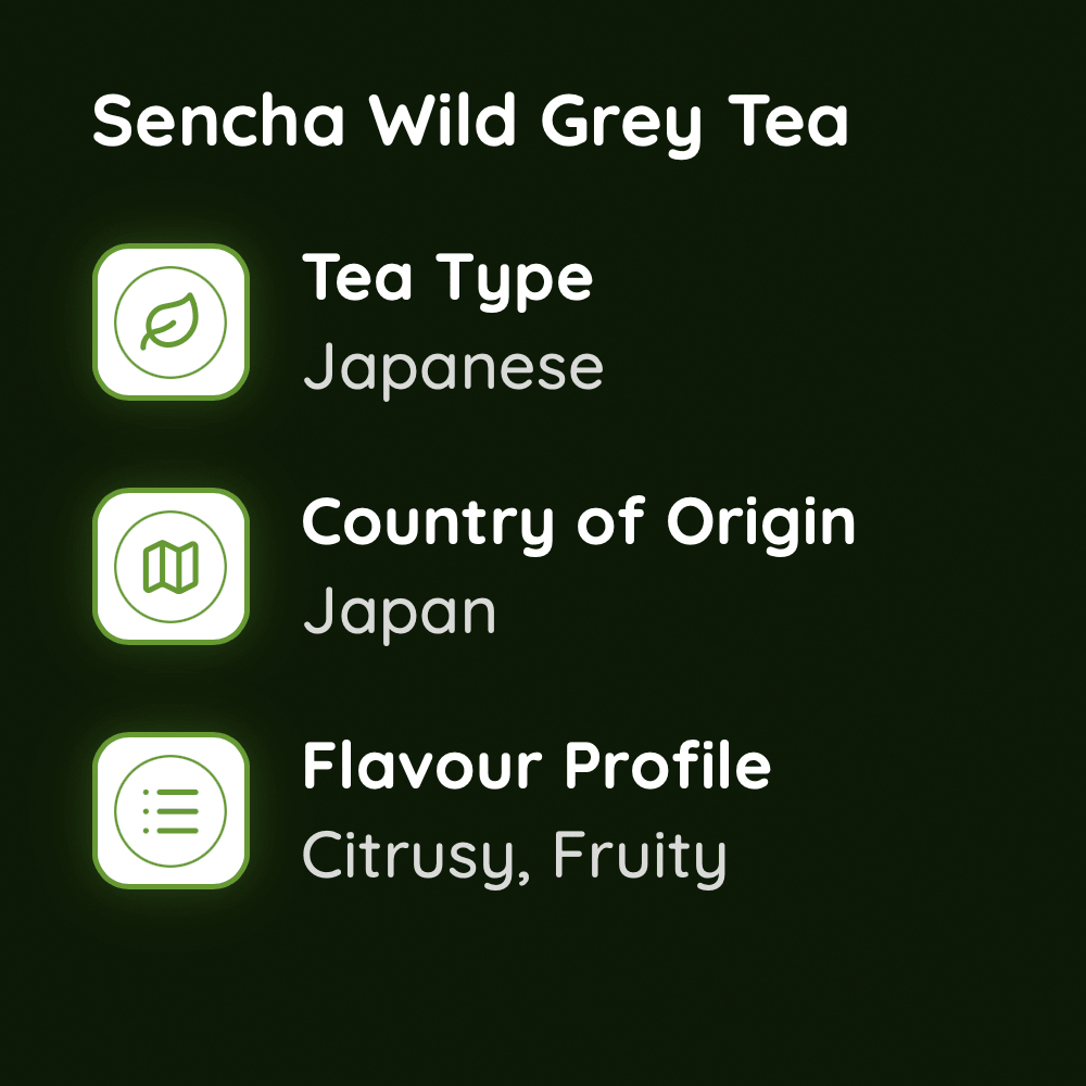 Sencha Wild Grey Tea